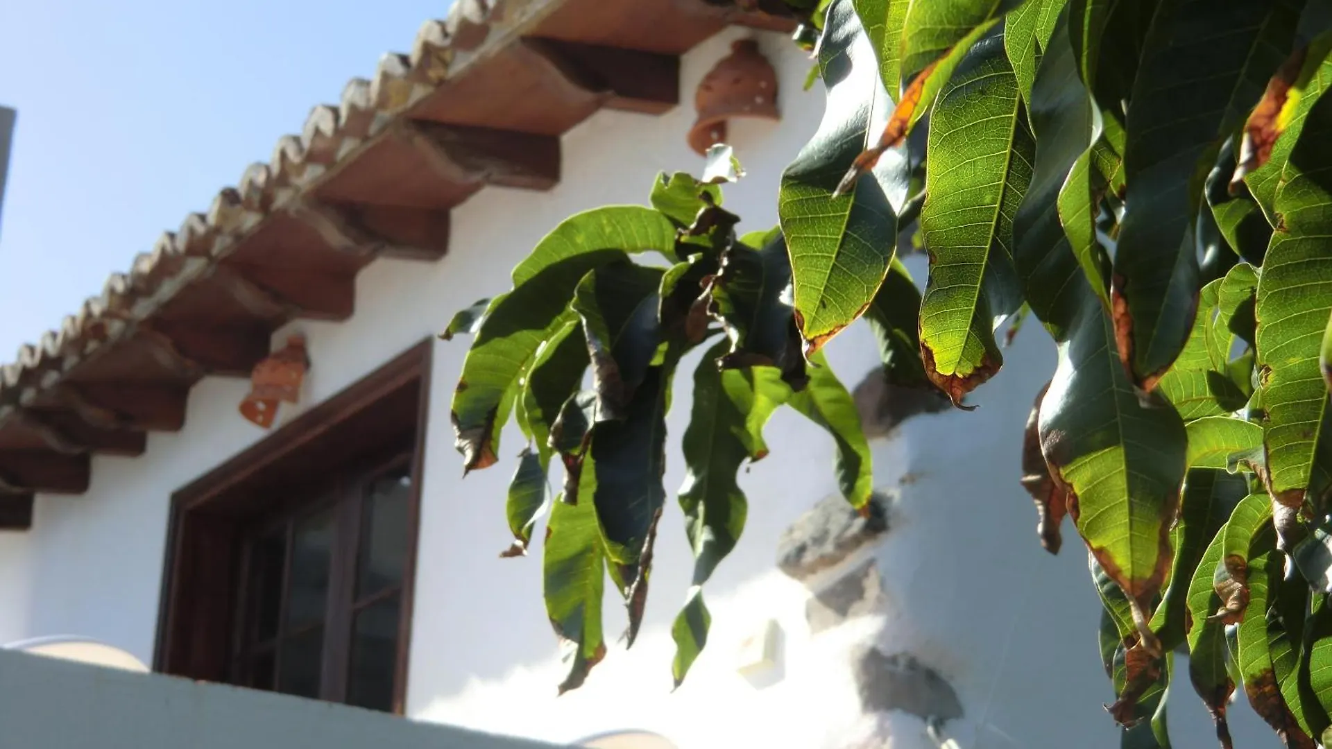 Villa Delfines Agulo Spain